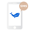 SMS send