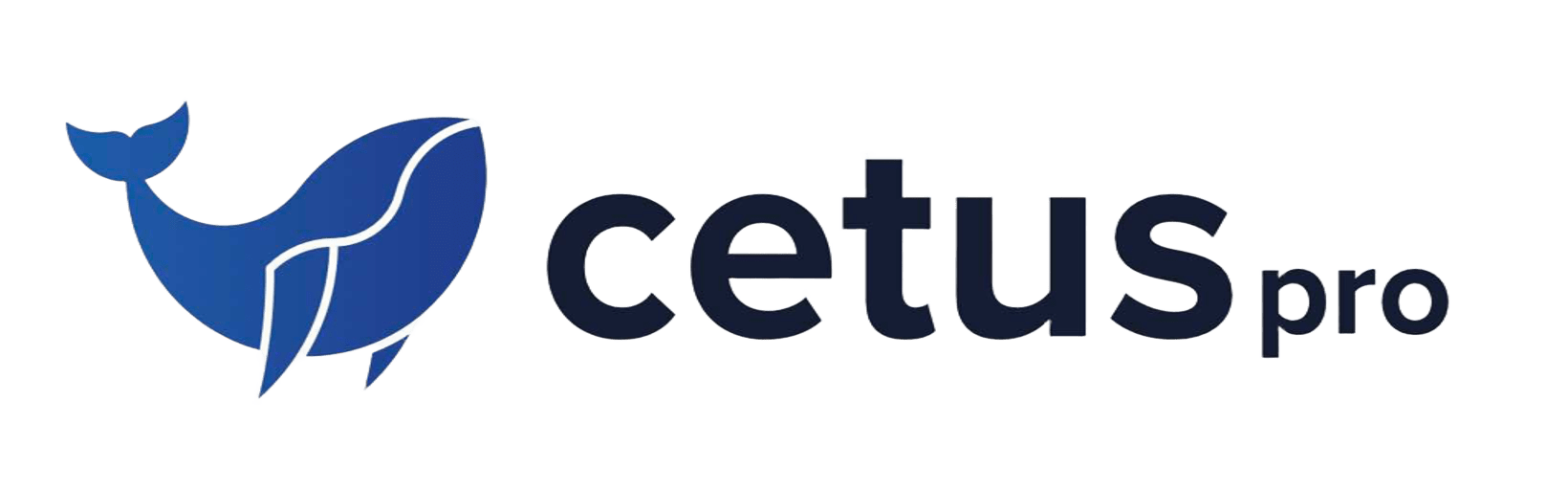 Aplikacje webowe, mobilne, AI i cybersecurity